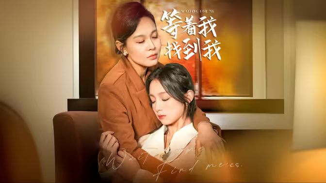 等著我，找到我(全集)