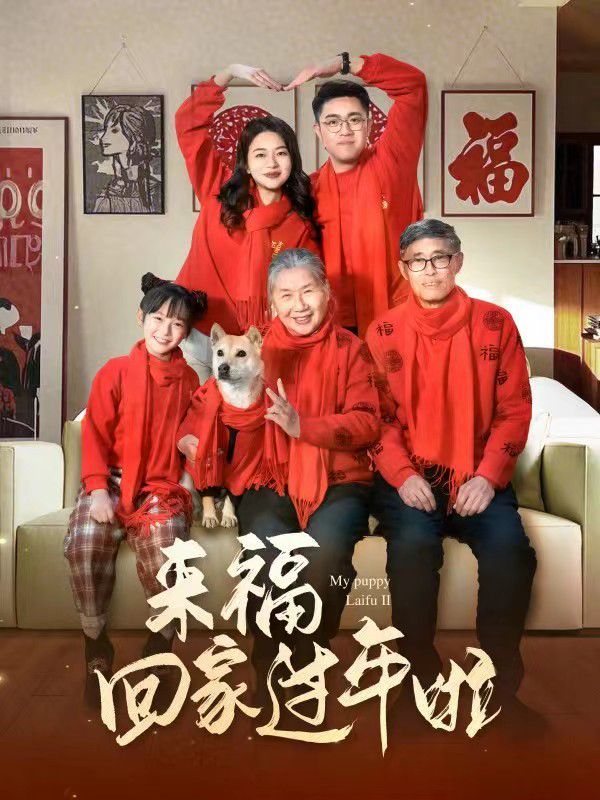 來?；丶疫^年啦(全集)