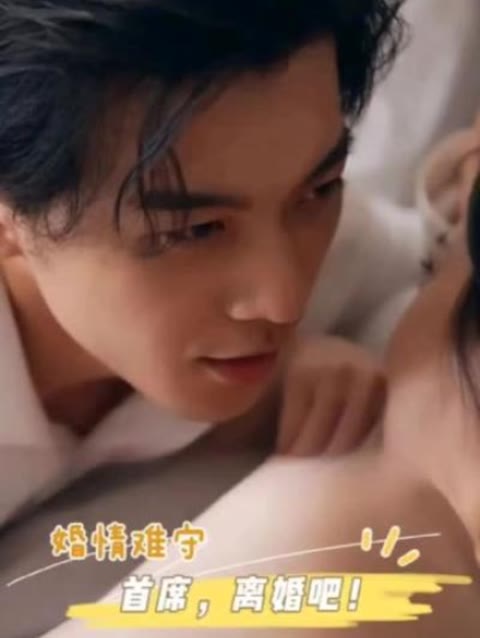 婚情難守：首席，離婚吧(全集)