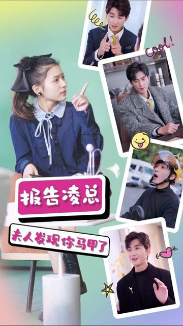 報(bào)告凌總，夫人發(fā)現(xiàn)你馬甲了(全集)