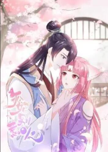 狐妃，別惹火