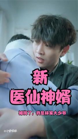 攤牌了，我是林家大少爺(新：醫(yī)仙神婿)(全集)