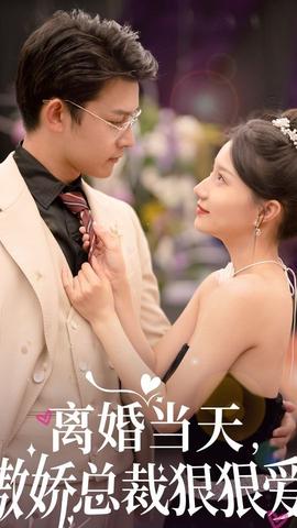 離婚當(dāng)天，傲嬌總裁狠狠愛(全集)