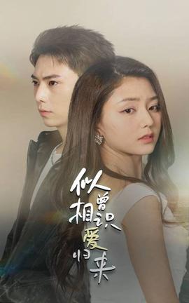 似曾相識愛歸來(全集)