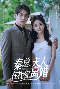 秦總，夫人在找你離婚(全集)