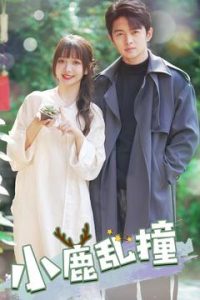 小鹿亂撞(全集)