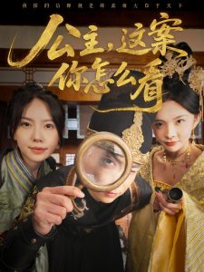 公主，這案你怎么看(全集)