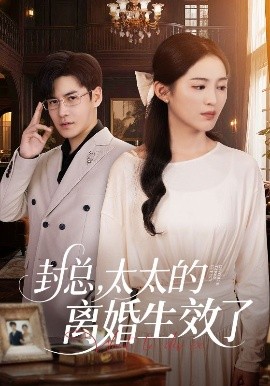 封總，太太的離婚生效了(全集)