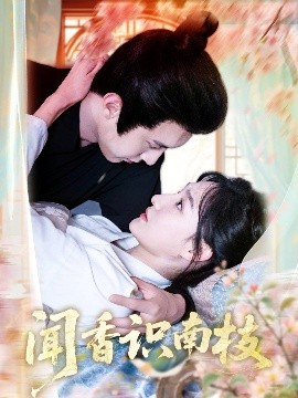 聞香識(shí)南枝(全集)