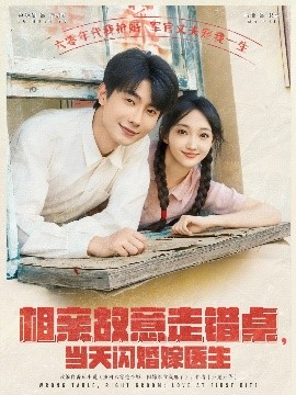 相親故意走錯(cuò)桌，當(dāng)天閃婚嫁醫(yī)生(全集)