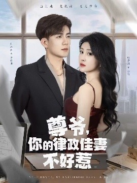 尊爺，你的律政嬌妻不好惹(全集)