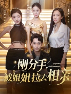 剛分手，被姐姐拉去相親(全集)