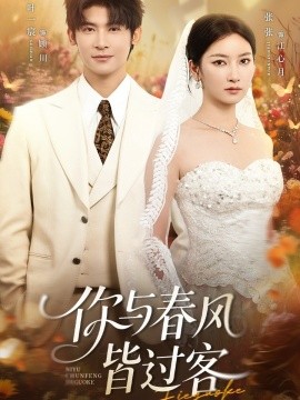 你與春風(fēng)皆過客(全集)