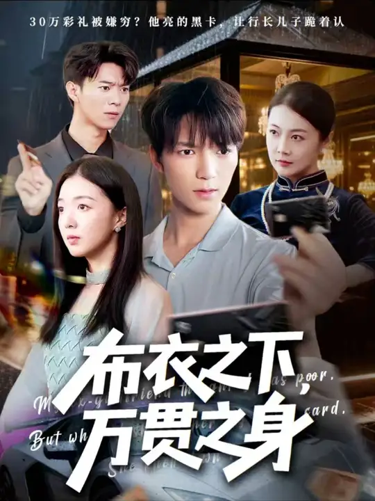 布衣之下萬貫之身(全集)