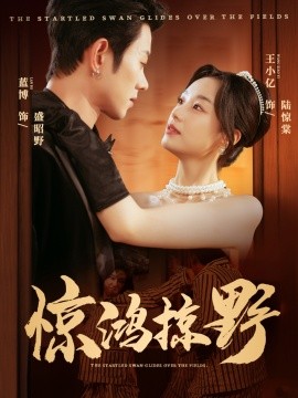 驚鴻掠野(全集)