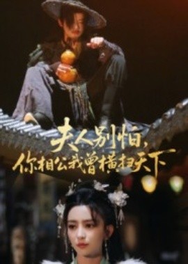 夫人別怕，你相公我曾橫掃天下(全集)