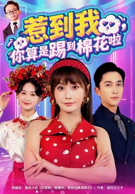 惹到我，你算是踢到棉花啦(全集)