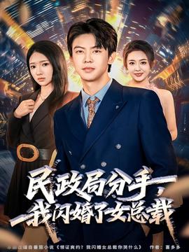 民政局分手，我閃婚了女總裁(全集)