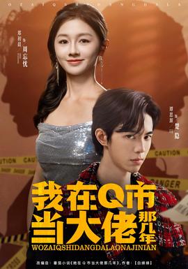 我在Q市當(dāng)大佬那幾年(全集)